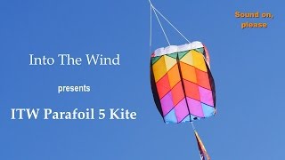 Into The Wind Parafoil 5 Kite [upl. by Izy]