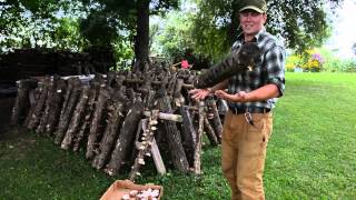 Agroforestry Cultivation of Shiitake Mushrooms [upl. by Otreblasiul]