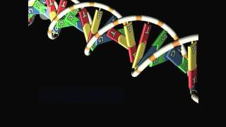 Gene To Protein Overview  DNA RNA and Protein Formation 47 [upl. by Kata836]