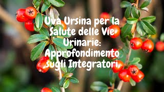 Uva Ursina a Cosa Serve questa Antica Erba Benefici e Proprietà dellUva Ursina [upl. by Anabelle124]