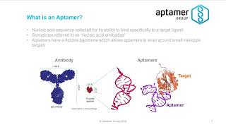 What is an aptamer [upl. by Ydnih]