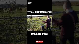 Bass solo reaction basssolo 🐄🐮 [upl. by Oreste]