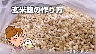 簡単！玄米麹の作り方。how to make koji 節約生活20200418 [upl. by Lalitta]