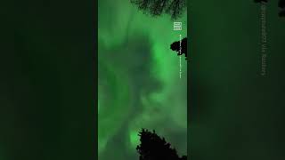 Timelapse Shows Spectacular View of Northern Lights in Anchorage [upl. by Holmen]