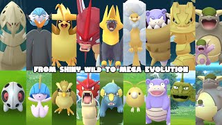 Catching these wild shiny pokemon in Pokemon GO and mega evolve them PART 1 [upl. by Earleen]