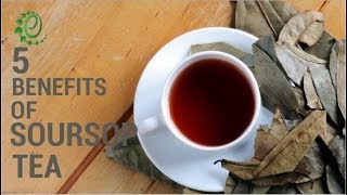 5 Amazing Benefits Of Soursop Tea And How To Make It  Organic Facts [upl. by Tades445]