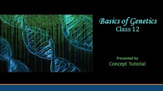 Basics of Genetics  Principles of Inheritance Part 1  Biology Class 12 [upl. by Alleahcim]