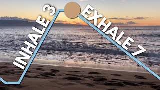 Calming Extended Exhale Breathing Exercise 37 [upl. by Sansen]