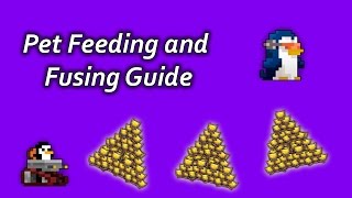 RotMG Tutorial  Pet Fusing and Feeding [upl. by Albur]