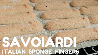 SAVOIARDI Biscuits  Italian SPONGE FINGERS  Tiramisu LADYFINGERS [upl. by Wieren]