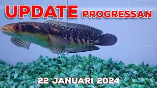 Update Progress amp Treatment 22 Jan 24 [upl. by Nobel]