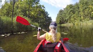 Kayaking in the Polish Amazonia  Lubuska Amazonka [upl. by Woodring]