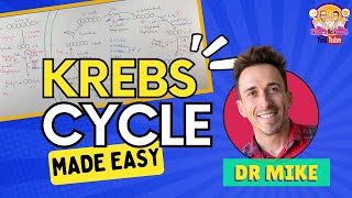 Krebs Cycle  Made Easy [upl. by Sitoel]