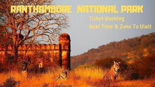 Ranthambore National Park  Best Time amp Best Zone to visit  Jungle Safari [upl. by Eltsyrhc]