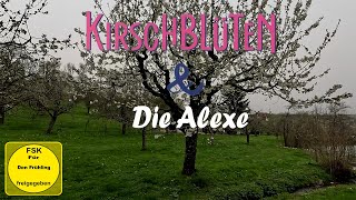 Kirschblüten amp die Alexe  Wanderung um Hepsisau  Schwäbische Alb [upl. by Toulon]