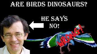 Are birds dinosaurs Part 49 Creationists and bird evolution [upl. by Drucy]