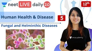 NEET Human Health and Disease  L5  Class 12  Live Daily 20  Unacademy NEET  Seep Maam [upl. by Urian840]