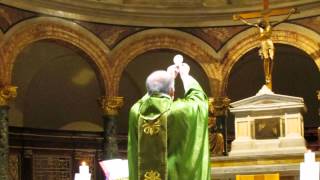 Fr Chad Ripperger FSSPs sermon on the priesthood [upl. by Nwonknu]