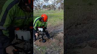 Putting in agaves around the property agaves holedigging property [upl. by Engedi]