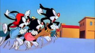 Animaniacs Season 1 Episode 1 [upl. by Fenton]