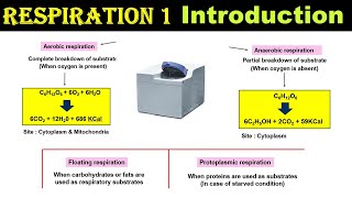 Respiration 1  Introduction  Protoplasmic vs Floating Respiration  Dr Ghanshyam Jangid [upl. by Neuberger]