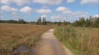 Von Murnau nach Uffing am Staffelsee entlang [upl. by Clemen]