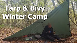 Camping under Tarp amp Bivy in Sussex Woods [upl. by Ojeillib]