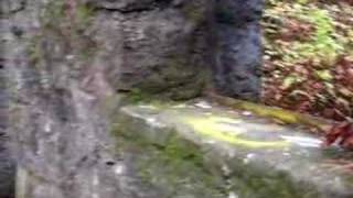 Witches Castle In Portland Oregon  HAUNTED  GHOSTS  PARANORMAL ACTIVITY [upl. by Yramesor]