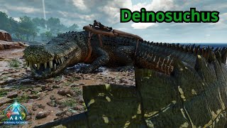 Přerostlej Krokodýl Deinosuchus tamingARK Survival Ascended Ep06CZSK [upl. by Wobniar]