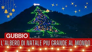 LAlbero di Natale di Gubbio il più grande al Mondo🎄🌟 [upl. by Armanda]