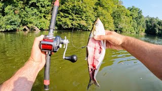 4 Hours of RAW and UNCUT Kayak Catfishing on Wheeler Lake Alabama [upl. by So168]