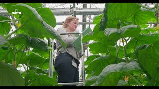 Autonomous Greenhouses AGROS validation trial 2023 Autonomous controls [upl. by Anifur]