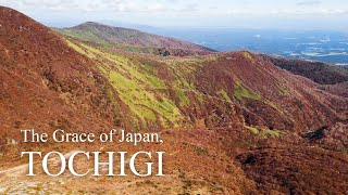 Exploring Tochigi’s Highlights [upl. by Eniloj68]