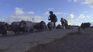 Cámara despacha feriado para región de Magallanes y provincia de Chiloé [upl. by Odysseus]