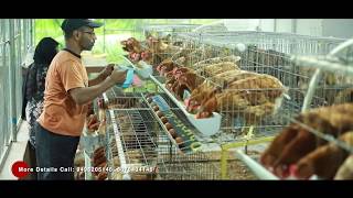 Poultry farming with modern facilities Furnished cage [upl. by Yroger]