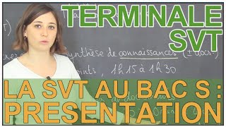 Lépreuve de SVT au bac S  présentation générale  SVT  Terminale  Les Bons Profs [upl. by Linette175]