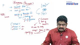 Microbiology  Rickettsia story of Rickettsia Prowazeki [upl. by Elyac]