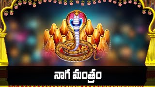 Naga Mantram in Telugu  Devotional Songs  Bhakti Songs  V Krishna Teja  Rose Bhakti Sagar [upl. by Anig]