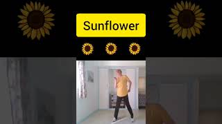 Post Malone Swae Lee  Sunflower  Dance Choreography by Delaney Glazer [upl. by Alyk]