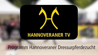 Hannoveraner TV  Programm Hannoveraner Dressurpferdezucht [upl. by Ahsiret206]