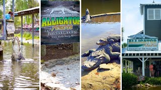 MYRTLE BEACH ALLIGATOR ADVENTURE REPTILE ZOO [upl. by Westerfield]