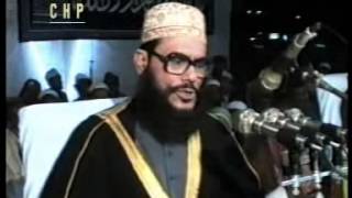 Bangla Waz  Akhirater Alosona  ALLAMA DELWAR HOSSAIN SAYEEDI [upl. by Anaujat]