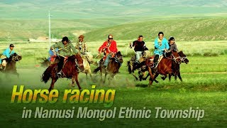 Live Horse racing in Namusi Mongol Ethnic Township 畅游碧海松涛 一起来赛马 [upl. by Anasiul]