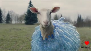 IKEA Werbung  die machen Schaffelle aus Plastikflaschen WERBUNG 2021 [upl. by Samtsirhc]