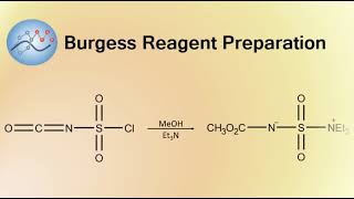 Burgess Reagent Preparation Mechanism  Organic Chemistry [upl. by Eylrac241]