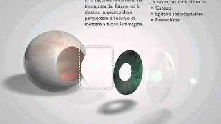 LOcchio animazione 3D [upl. by Steddman]