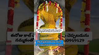 brahmamgarikalagnanam brahmamgarimatam brahmamgaru viralreels viral viralvideos morning god [upl. by Koser]