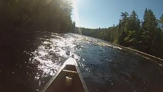 Grillade Rapids Petawawa River Algonquin Park [upl. by Nichol]