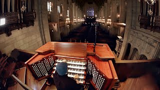 Pipe Organ An instrument the size of a building [upl. by Loats290]