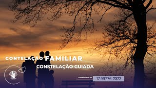 Constelação Familiar Guiada [upl. by Ahsir170]